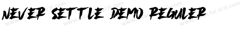 Never Settle Demo Reguler字体转换
